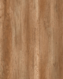 Old wood (M 6156)