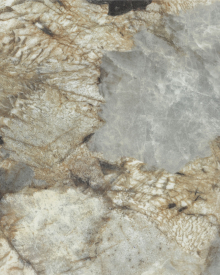 Patagonia (L 6134)