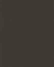 Fango (L 1590)