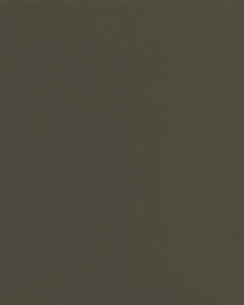 Castoro (L 1189)