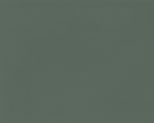 Verde lago (L 1193 )
