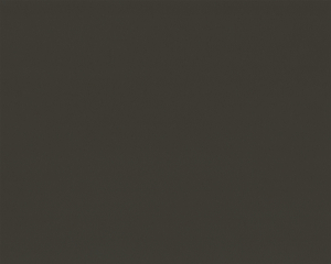 Fango (L 1590)