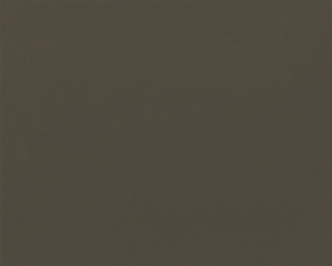 Castoro (L 1189)