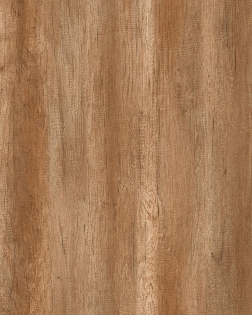 Old wood (M 6156)