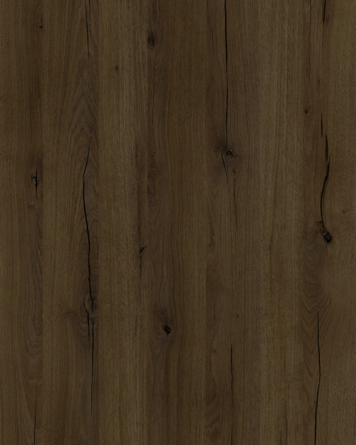 Baccata (M6295)