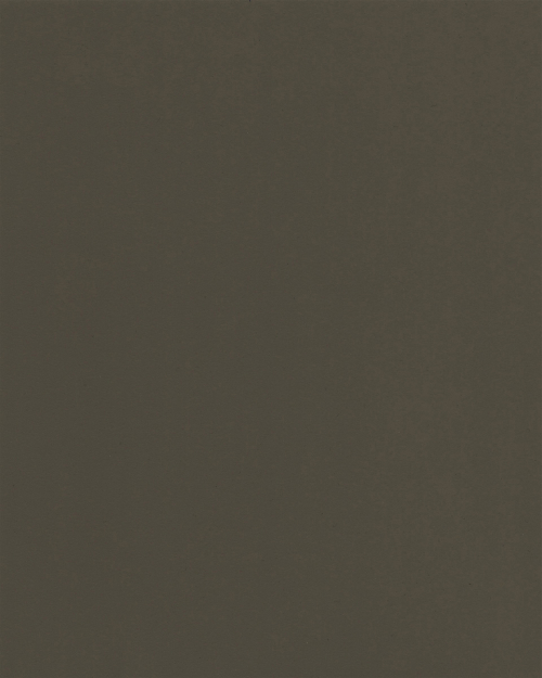 Castoro (L 1189)