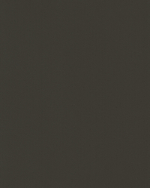Fango (L 1590)